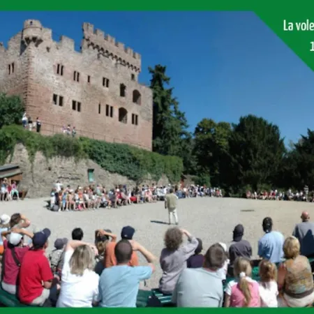 La Parenthese Alsacienne Au Coeur De Daire Sélestat