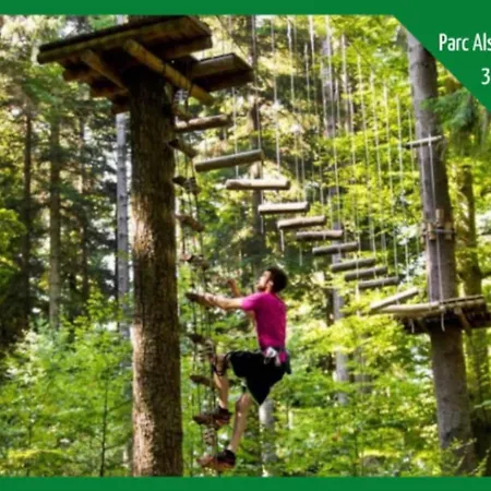 Apartamento La Parenthese Alsacienne Au Coeur De *