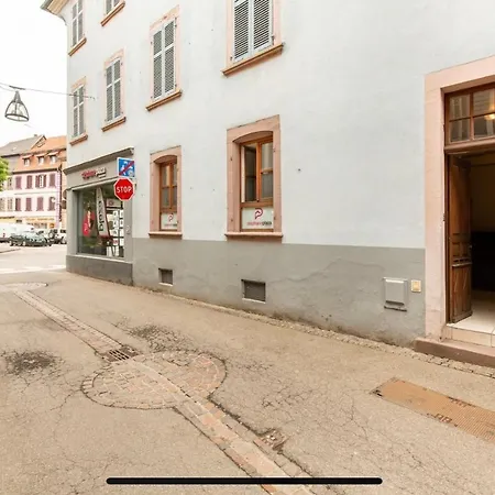 Apartamento La Parenthese Alsacienne Au Coeur De *